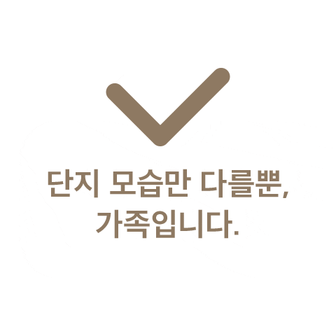 petforest Sticker