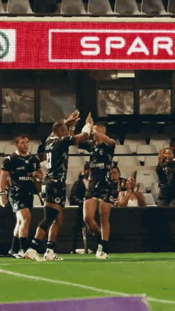 GIF by Sharks Rugby