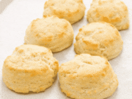 biscuit GIF
