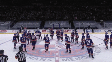 Hockey Isles GIF by New York Islanders