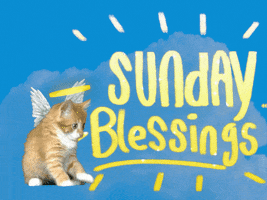 Bless Happy Sunday GIF by GIPHY Studios 2021