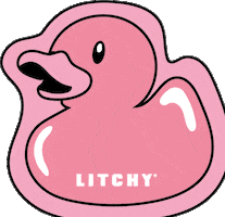 Litchyofficial eend litchy litchyeend GIF