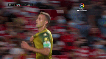 Real Betis Canales GIF by Real Betis Balompié