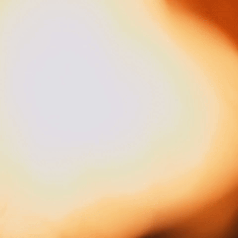 The World Want GIF by WeQuorum