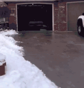 Driveway GIF