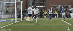 Inter Milan GIF