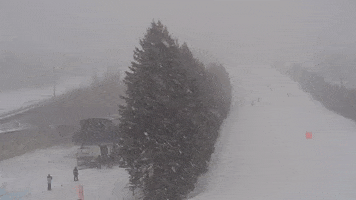 GIF by Blue Mountain Resort