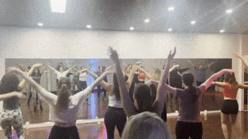 GIF by San Tropez
