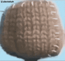 Little Big Planet GIF