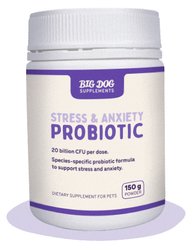 Cat Health Sticker by Big Dog Pet Foods