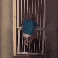 200.gif
