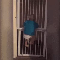  video reddit escape prison sweatypalms GIF