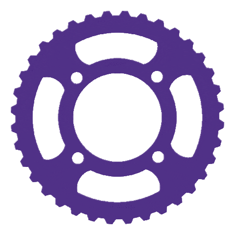 Event Charity Sticker by Pedal For Alzheimer's