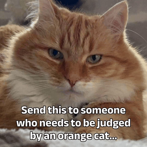 Really GIF