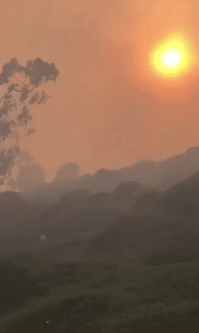 United States California GIF by Storyful