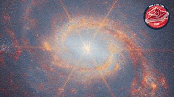James Webb Universe GIF by ESA Webb Space Telescope