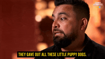 Dog Puppy GIF by Celebrity Apprentice Australia