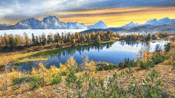Northern Pwr GIF