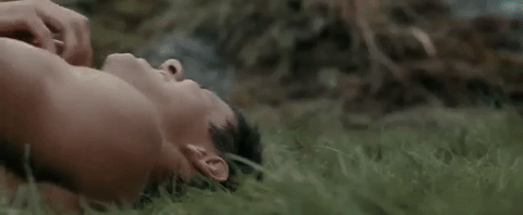 Bella GIF