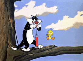 GIF by Linhas Corrente
