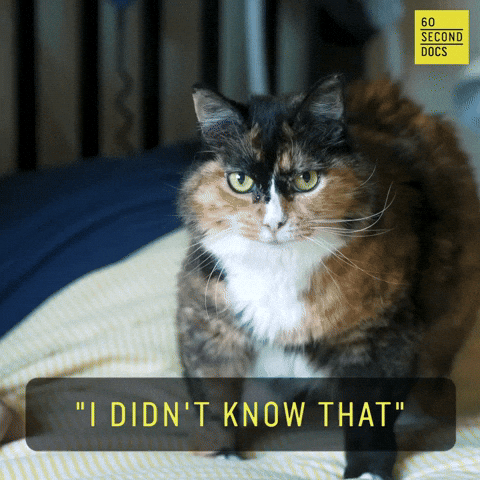 I Didnt Know That GIFs - Get the best GIF on GIPHY