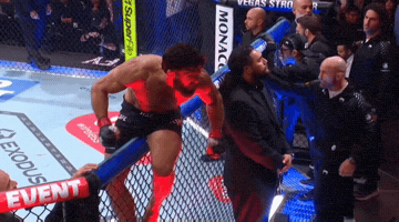 The Batman Ufc GIF
