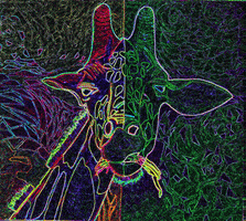 200.gif?cid=790b76115d0fe1075851694959553ab9&rid=200.gif