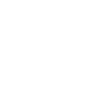 Shrimp Foiling Sticker by TAKOON