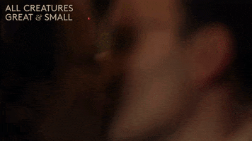 Broken Heart Kiss GIF by All Creatures Great And Small