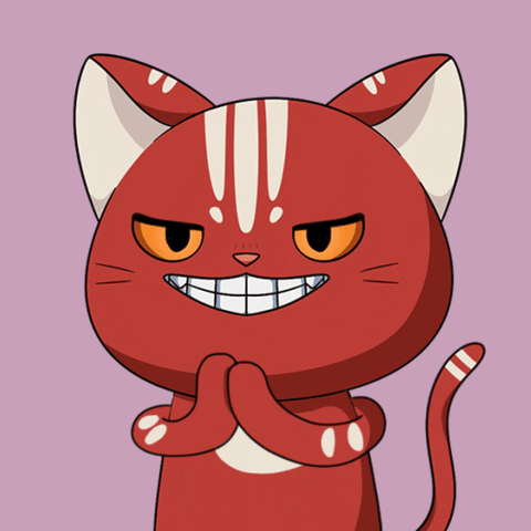 Cat Want GIF by Kitaro World