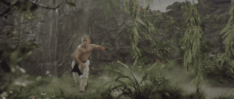The Shaolin Temple GIF