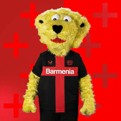 Excited Lets Go GIF by Bayer 04 Leverkusen