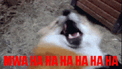 100.gif?cid=20e14a2aj7etw8m24kd8i51yfz58m1eib4j0ujxa4f60qpf5&rid=100.gif&ct=g