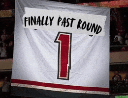 Minnesota Wild Banner GIF
