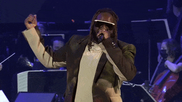 T-Pain GIF by VERZUZ