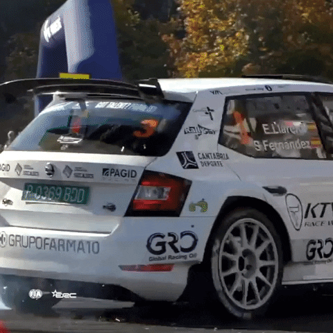 Driving On My Way GIF by FIA European Rally Championship