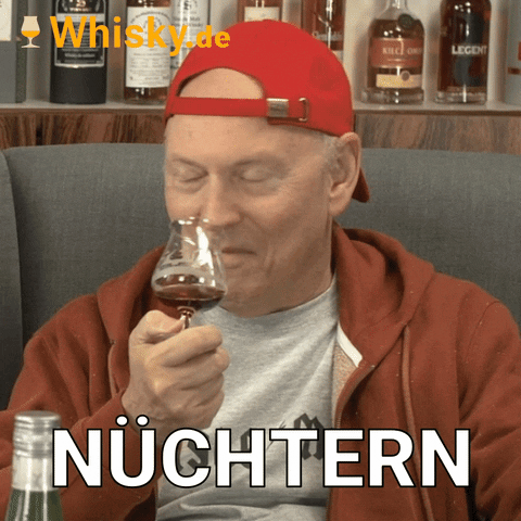 Drunk Steve Buscemi GIF by Whisky.de