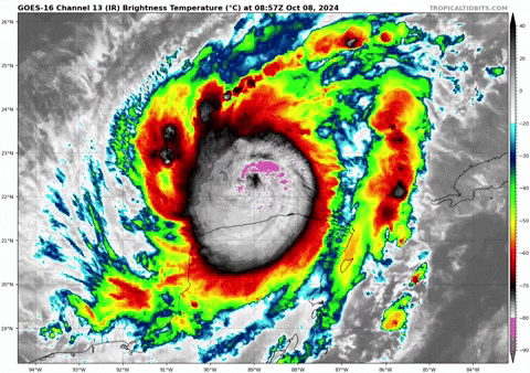 giphy.gif?cid=9b38fe916xu8hqx1bhqd45on0u