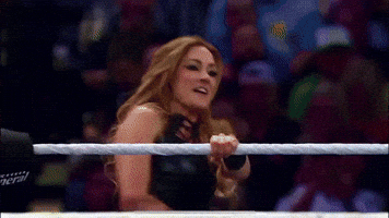 Seth Rollins Wwe GIF