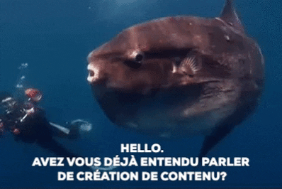 Undersea Hello GIF - Find & Share on GIPHY