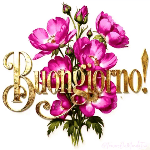 Bonjour en italien @TresorsDuMondeInc