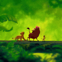 wallpapers Timon And Pumbaa Eating Bugs Gif timon pumbaa gifs get the best gif on