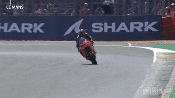 Happy Finish Line GIF by MotoGP