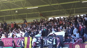 Fans Steelmen GIF by Motherwell FC
