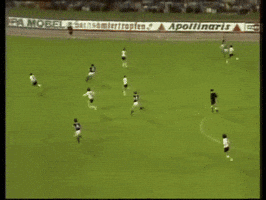 marcopiccinelli  GIF
