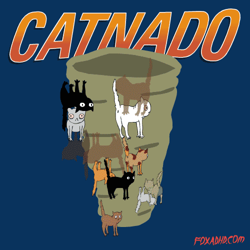 cat tornado GIF by Animation Domination High-Def
