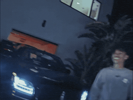 Rex GIF by 9th St Records