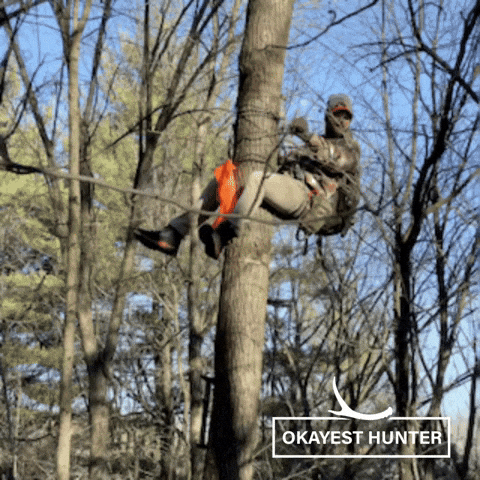 Hunting Season Climbing GIF by Okayest Hunter