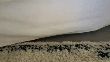 Tha Paw GIF