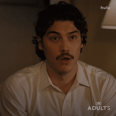 Fx Networks No GIF by Adults